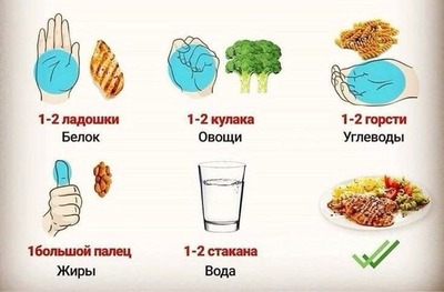 как отмерить порцию еды